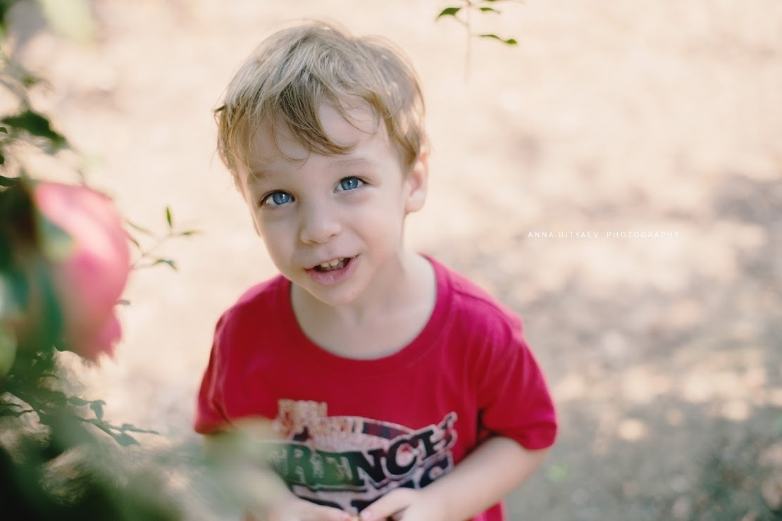 אלבום רימון אדום. אנה ביטייב, צלמת, שוהם, Anna Bityaev Photography