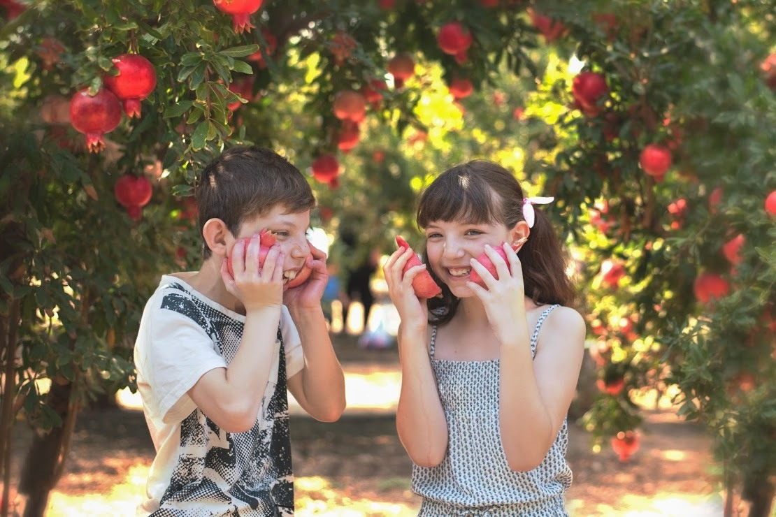 אלבום רימון אדום. אנה ביטייב, צלמת, שוהם, Anna Bityaev Photography