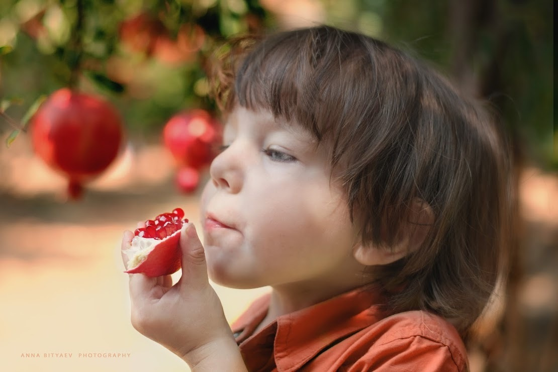 אלבום רימון אדום. אנה ביטייב, צלמת, שוהם, Anna Bityaev Photography