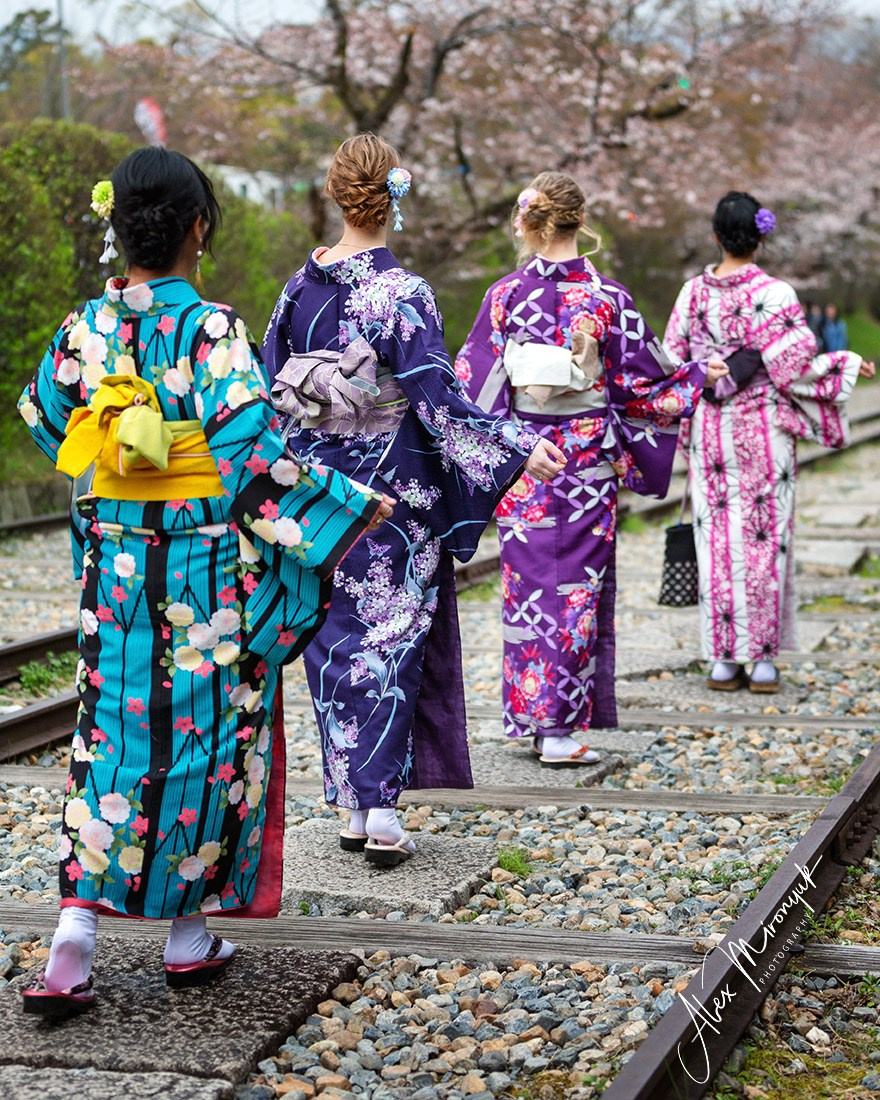 Hanami Season in Japan. Pet, Senior, Landscape, portrait studio, photographer in Miami and Sou