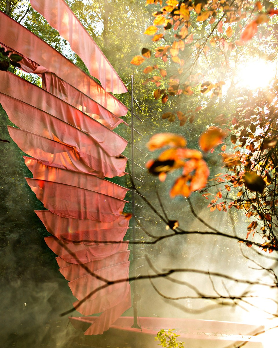 🏀 ALBUM « SOCIAL NETWORK ». Felix — Professional Photographer in Paris