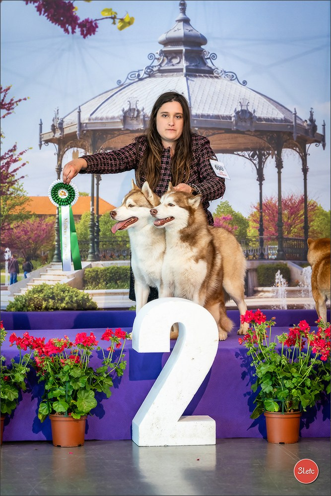 Expo canine 🇫🇷 Valence 02-03/05/2026