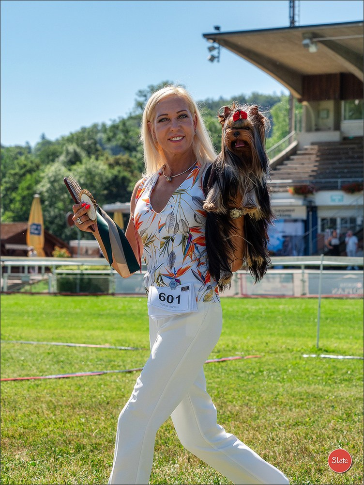 🇨🇭 Geneva Dog Show 15-17/11/2024. Photographe à Strasbourg | Portraits, Studio, Enfants, Événements