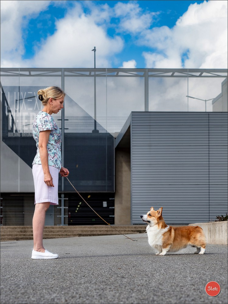 🇱🇺 LUXEMBOURG 🇱🇺 International Dog Show 🇱🇺 30/08 - 31/08/2025. Photographe à Strasbourg | Portraits, Studio, Enfants, Événements