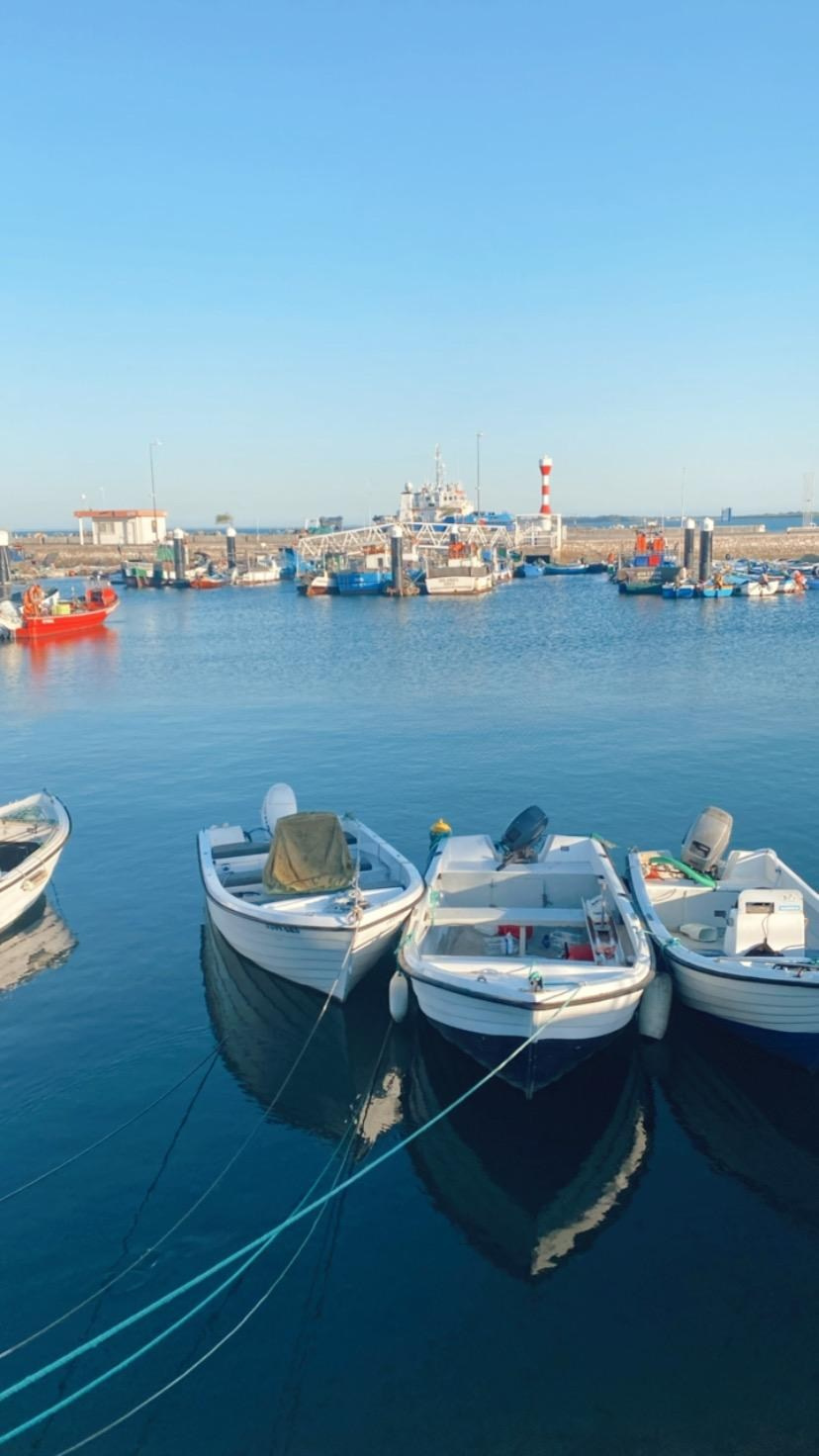 Jógový pobyt v Portugalsku 2024. Mateřství. Nevýchova. Život v souladu s přírodou. Jóga