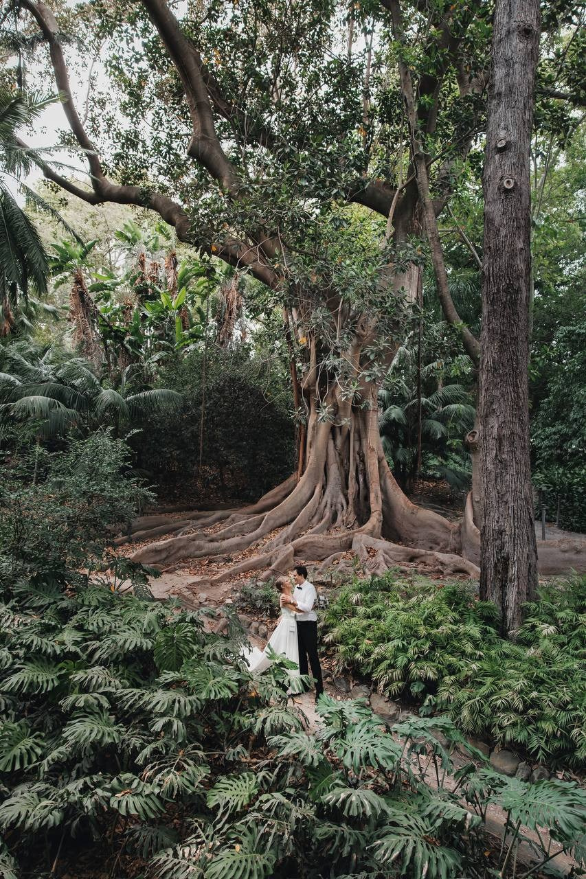 Bride and groom photoshoot at the gardens