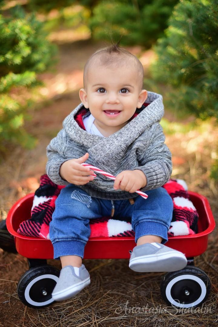 Christmas photography Roseville Christmas mini session Rocklin. Family photographer in Roseville, Rocklin, Folsom, Sacramento