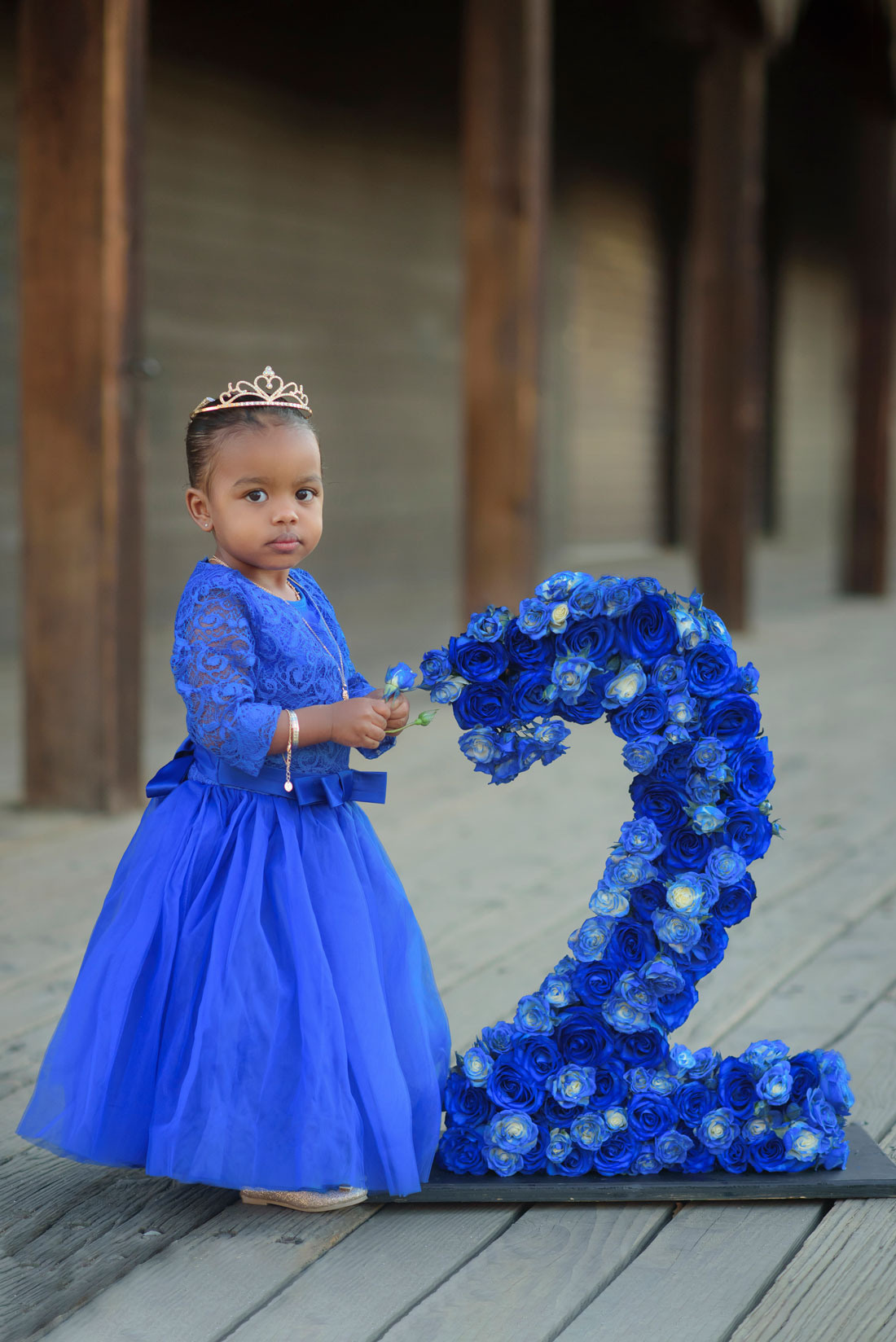 Second birthday photos Rocklin, Roseville, Sacramento. Family photographer in Roseville, Rocklin, Folsom, Sacramento