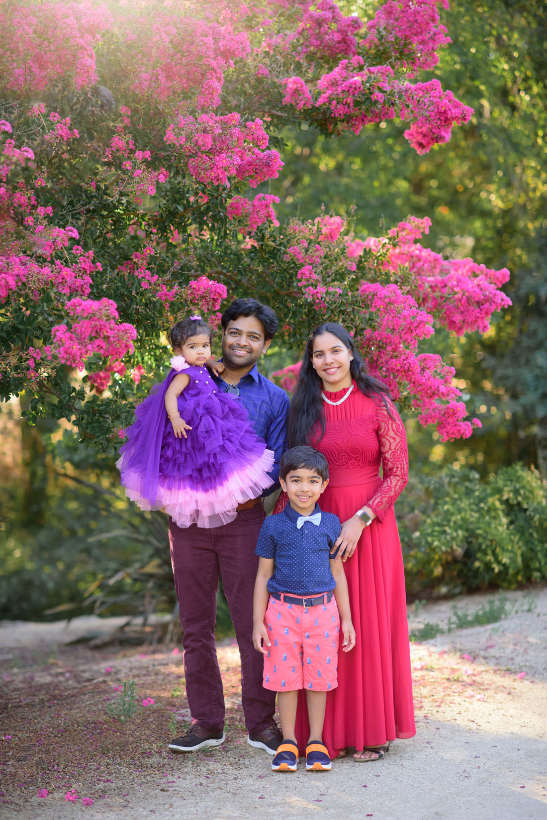 Family and birthday photos Roseville. Family photographer in Roseville, Rocklin, Folsom, Sacramento