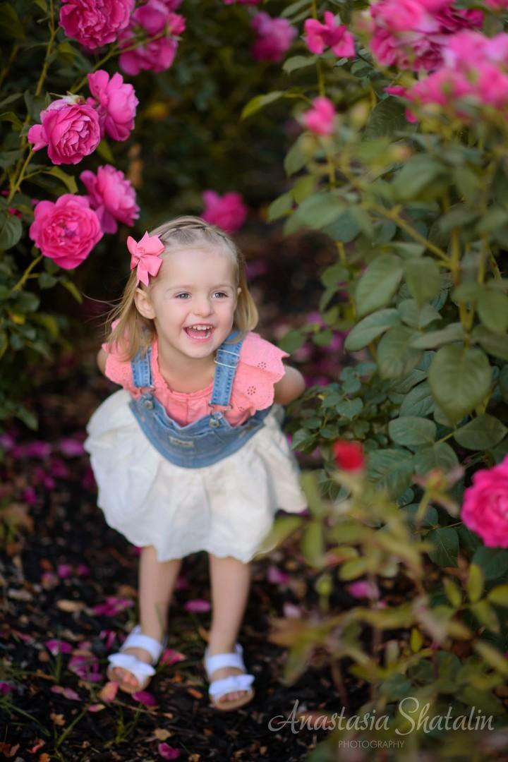 Rose garden photos Sacramento, Rocklin, Roseville. Family photographer in Roseville, Rocklin, Folsom, Sacramento