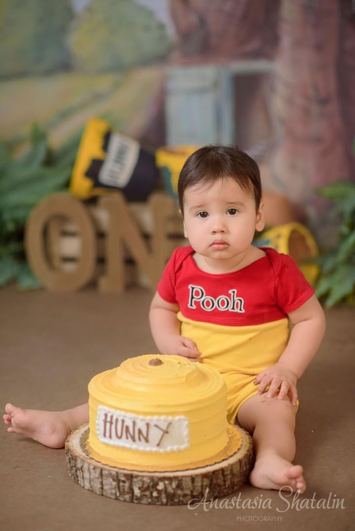 Winnie the pooh cake smash photographer Rocklin. Family photographer in Roseville, Rocklin, Folsom, Sacramento