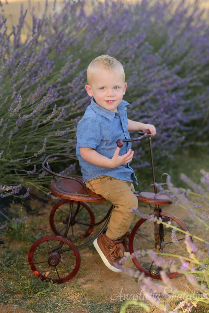 Summer family portrait photography Sacramento. Family photographer in Roseville, Rocklin, Folsom, Sacramento