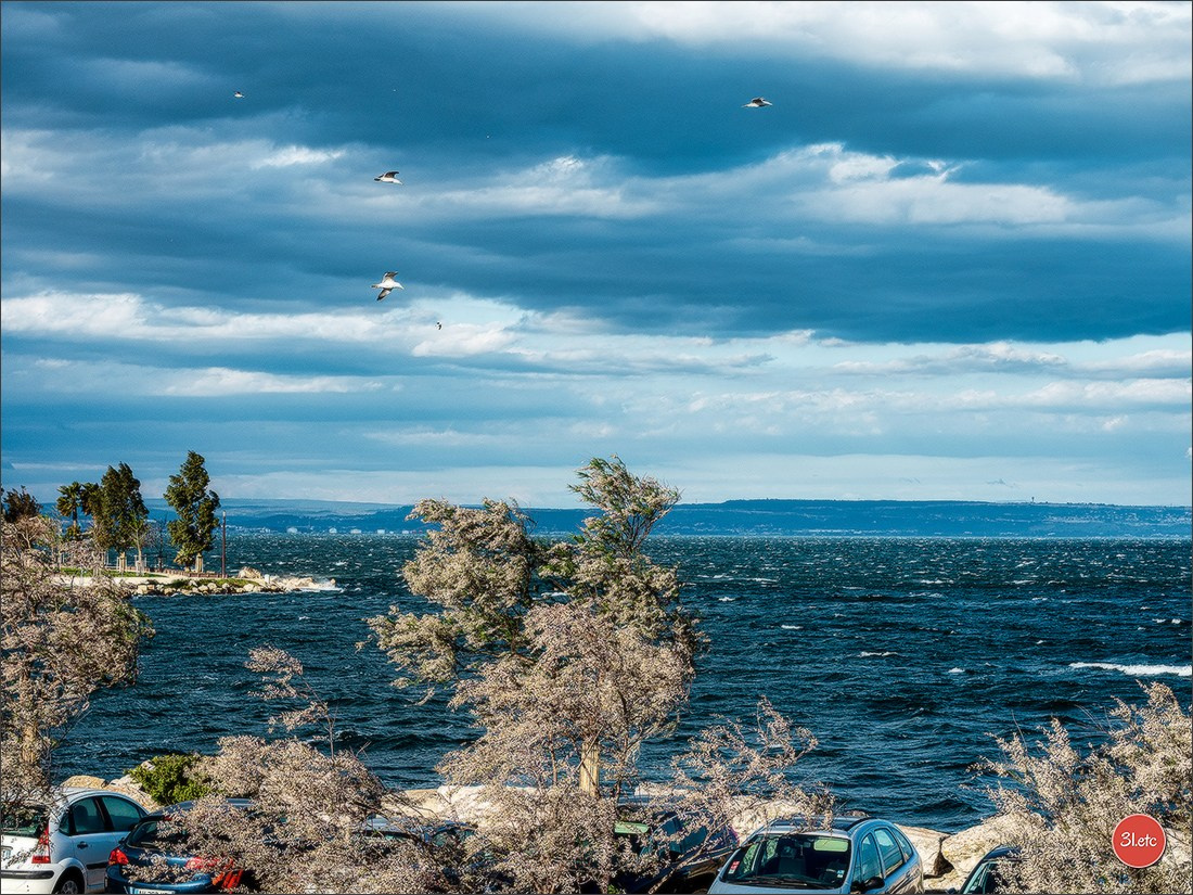 Martigues 19-20/04/2025. Photographe à Strasbourg | Portraits, Studio, Enfants, Événements