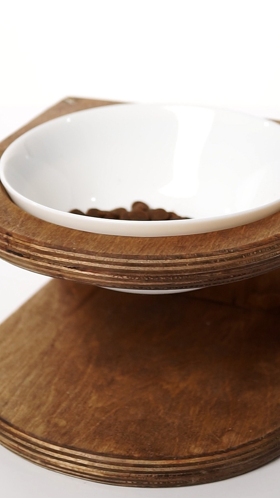 Mr.Cat Home. Ellstudio film production