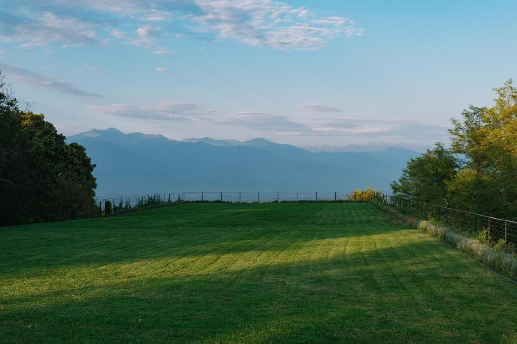 Vazisubani Estate. Главная