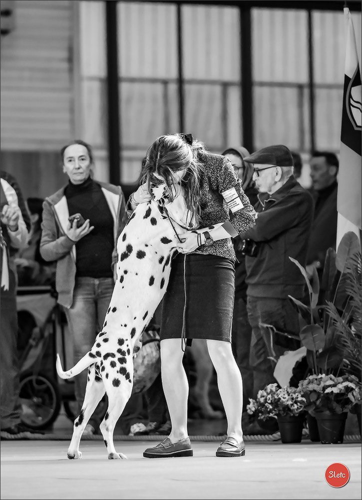 PDS  🇫🇷  Paris Dog Show  🇫🇷  Expo canine  10-11/01/2026. Photographe à Strasbourg | Portraits, Studio, Enfants, Événements