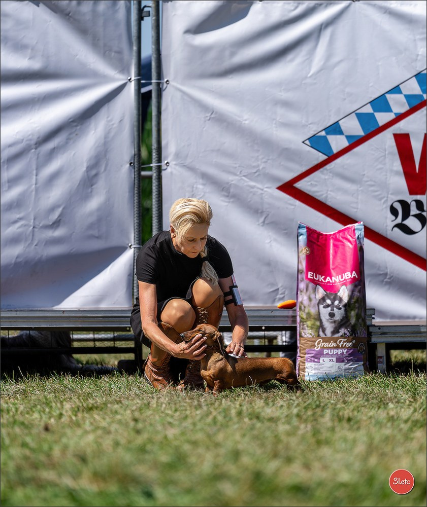 Dog Show - Hallbergmoos 🇩🇪 11-12/07/2026