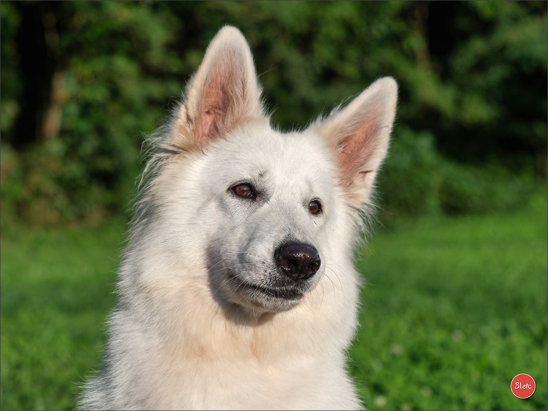 Domaine de la patte blanche. Photographe à Strasbourg | Portraits, Studio, Enfants, Événements
