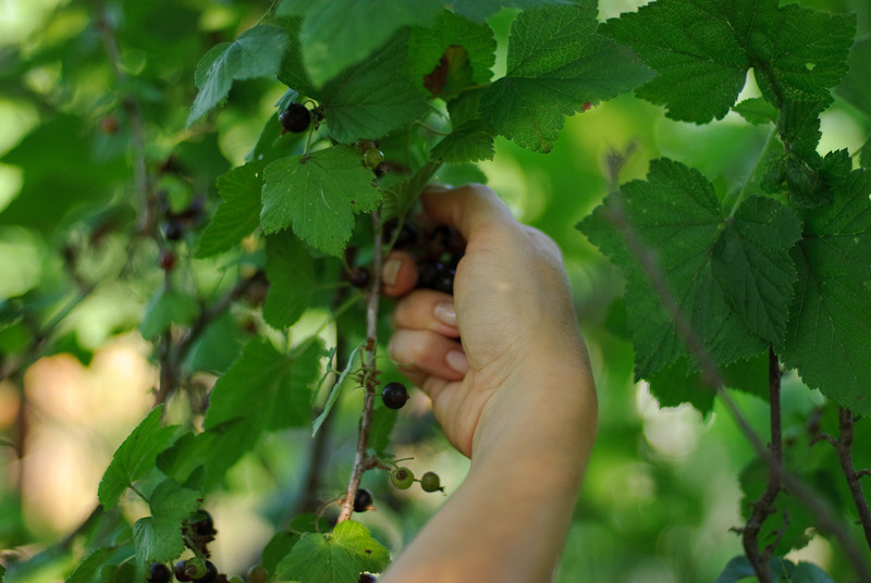 Dacha stories. Victoria Dini. Art photography in London / Folkestone, UK