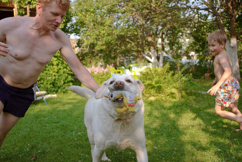 Dacha stories. Victoria Dini. Art photography in London / Folkestone, UK
