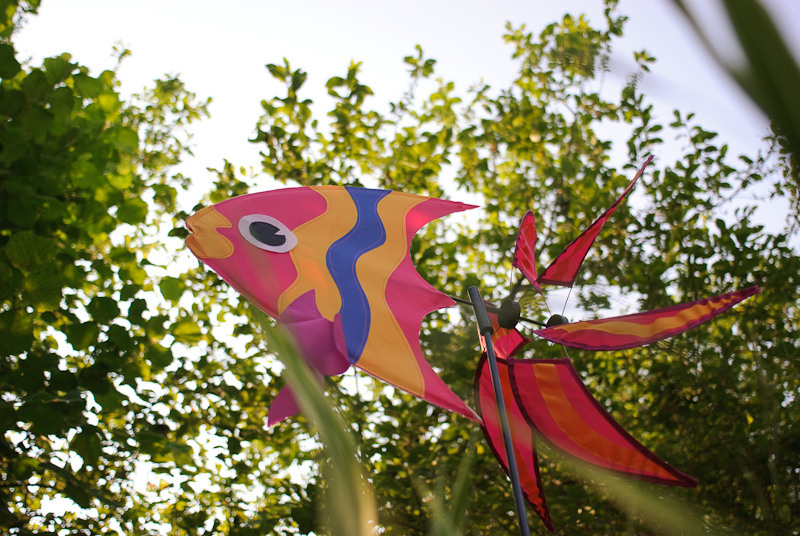 Dacha stories. Victoria Dini. Art photography in London / Folkestone, UK