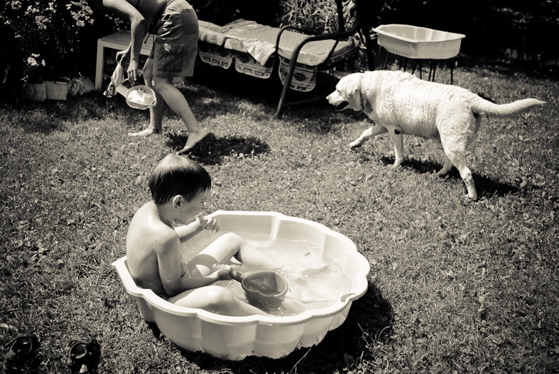 Dacha stories. Victoria Dini. Art photography in London / Folkestone, UK