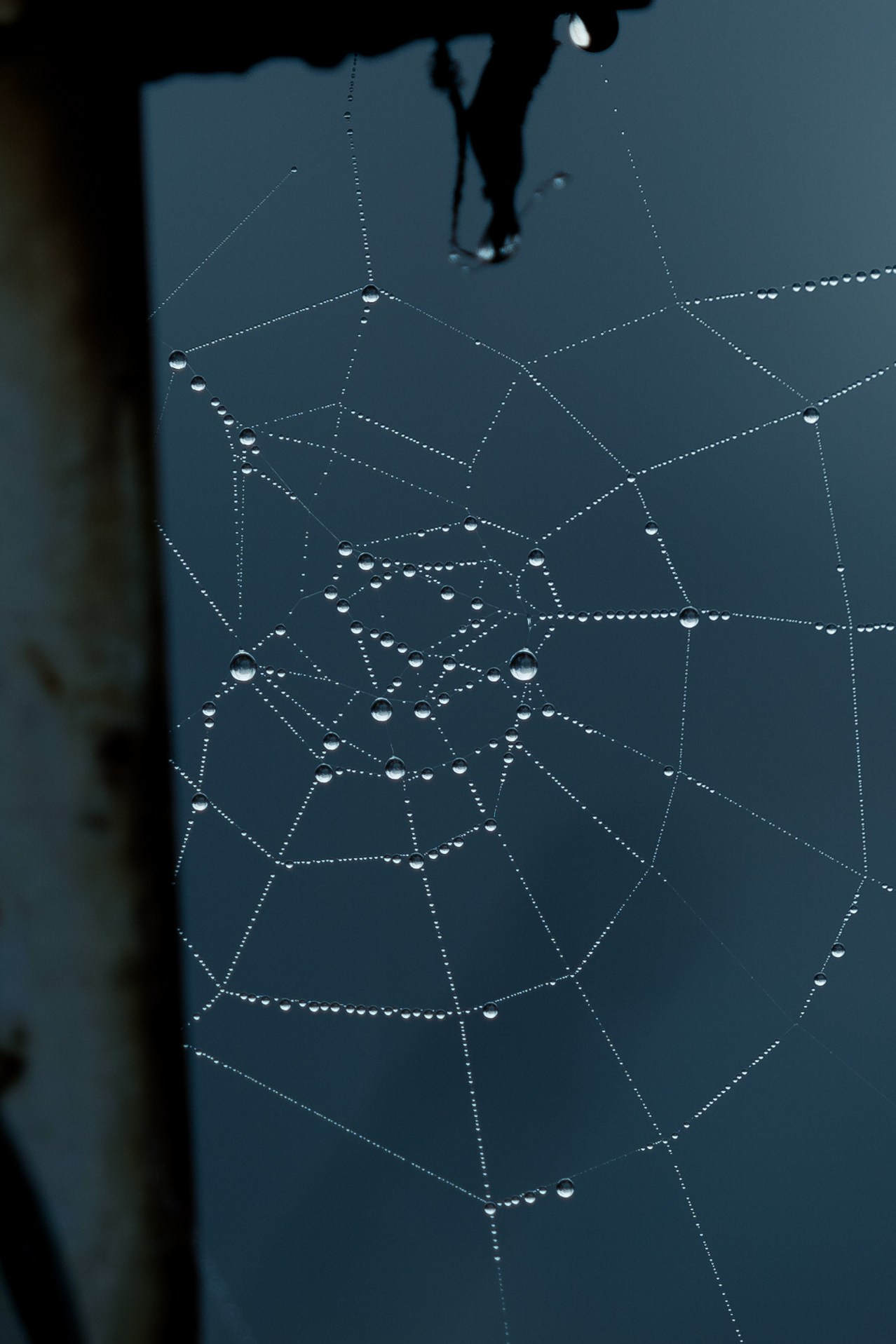 O dimineață cețoasă