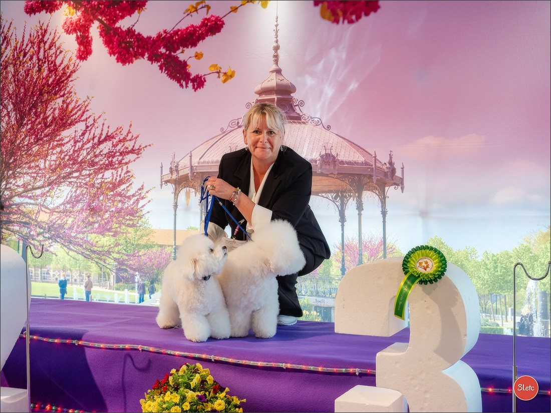 Expo canine 🇫🇷 Valence 03-04/05/2025. Photographe à Strasbourg | Portraits, Studio, Enfants, Événements