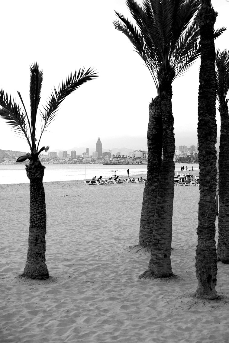 Испания. Портретный фотограф Алена Новгородцева