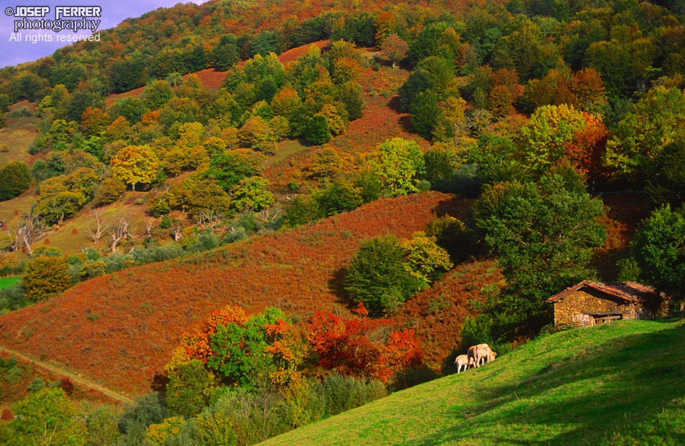 Valle de Baztán, Pyrenees, Navarra