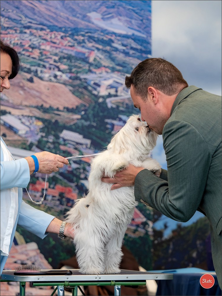 Dog Show  🇮🇹  San Marino. Photographe à Strasbourg | Portraits, Studio, Enfants, Événements