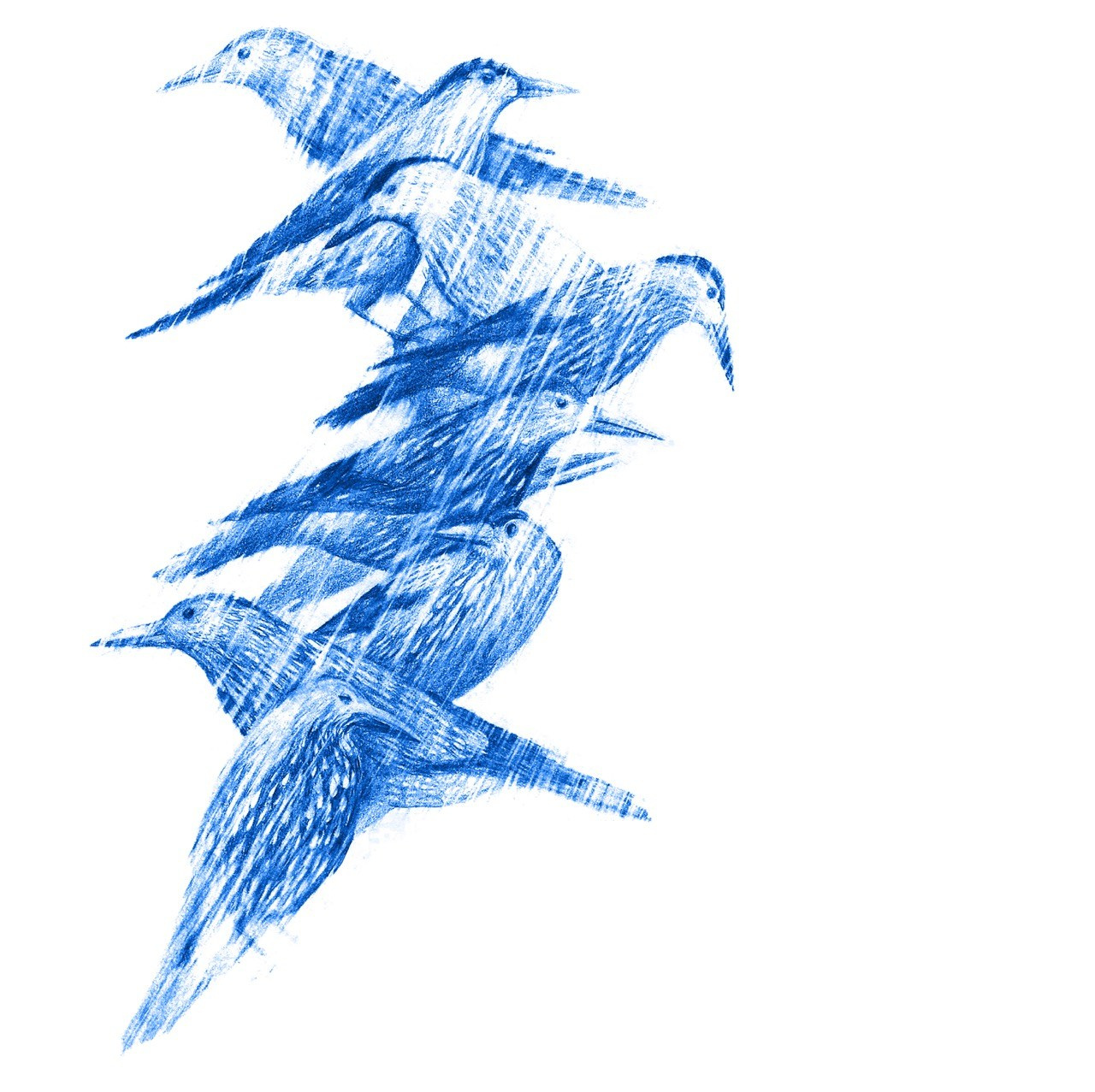 Illistration for book „Wariacje Tatrzańskie” Janki Dąbrowskiej. Artist, photographer, graphic designer, dreamer