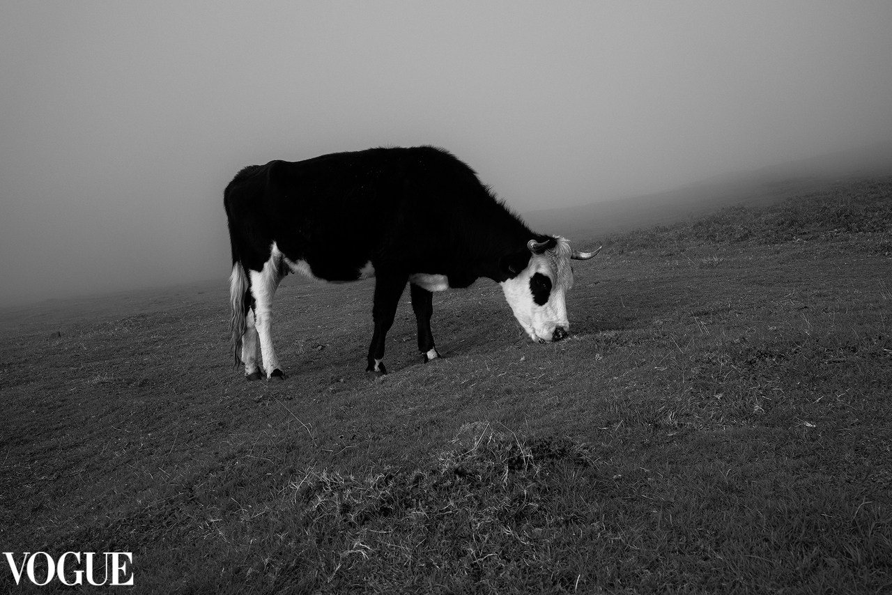 AWARDS. Yana Bobrova | Artistic Photography