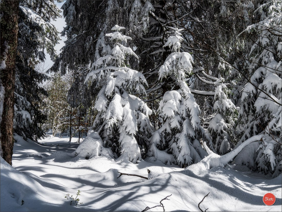 Temps étonnant fin avril en Alsace. Il a neigé. Photographe à Strasbourg | Portraits, Studio, Enfants, Événements