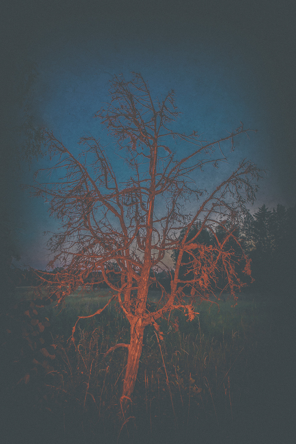 Between the Lives. Artist photographer Anna Biletska