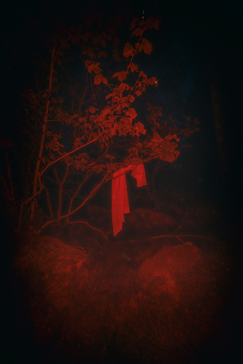 Between the Lives. Artist photographer Anna Biletska