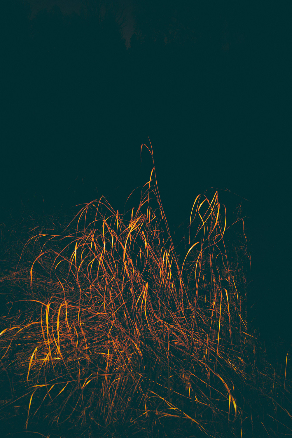 Between the Lives. Artist photographer Anna Biletska