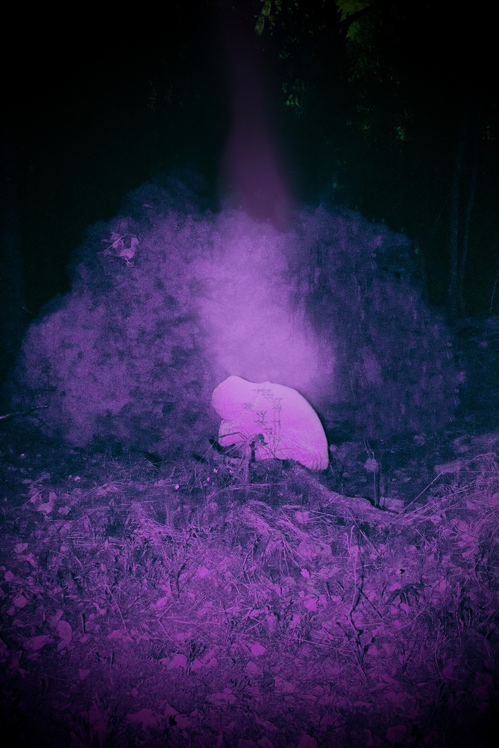 Between the Lives. Artist photographer Anna Biletska