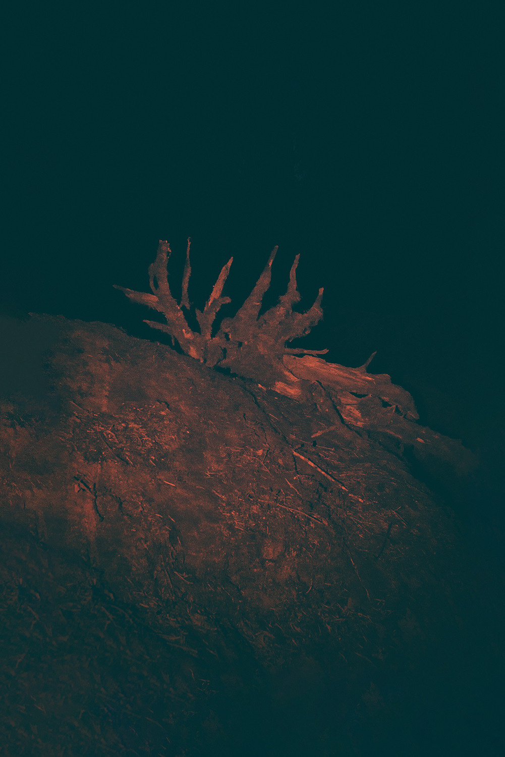 Between the Lives. Artist photographer Anna Biletska