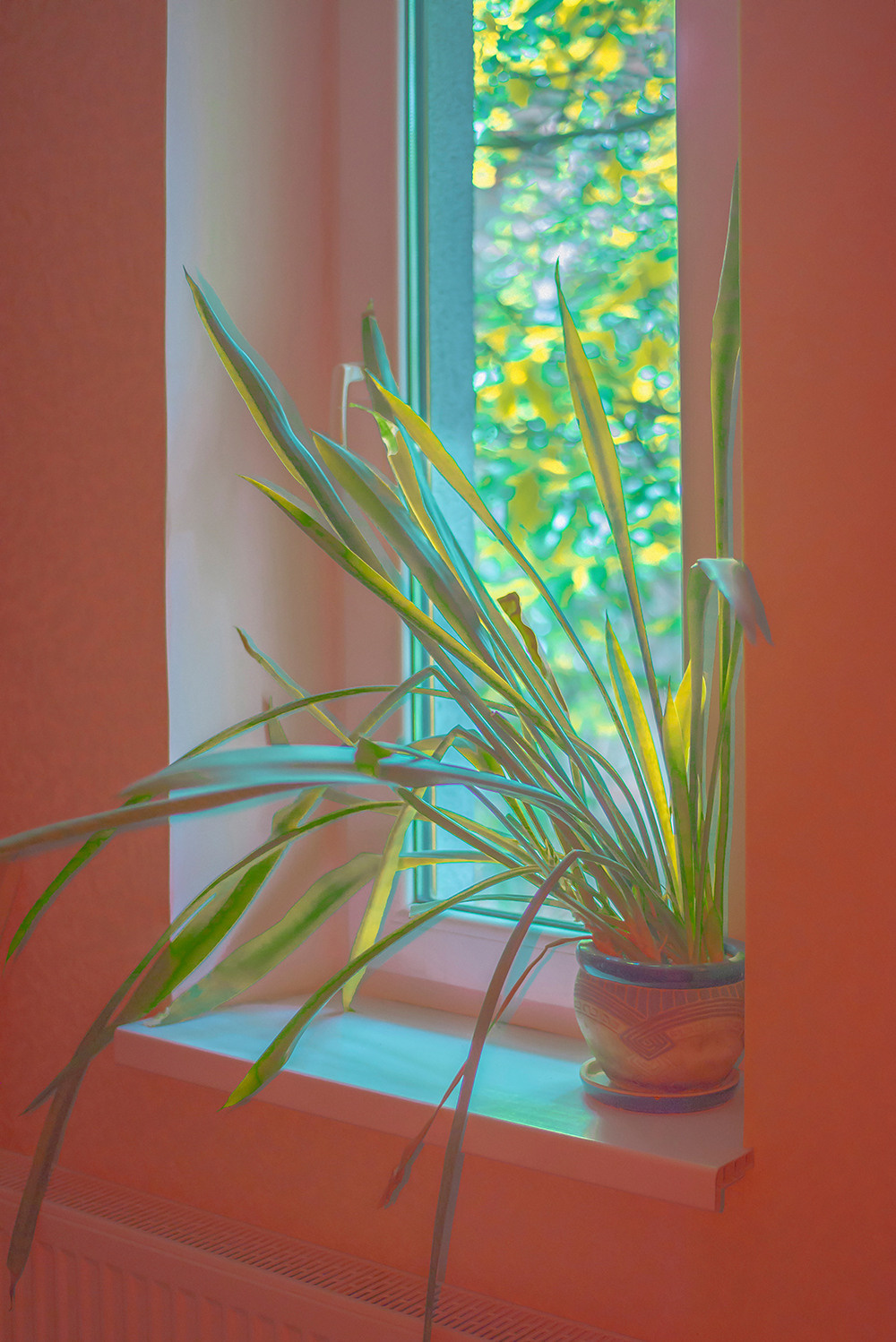 Flower on a background of delicate leaves