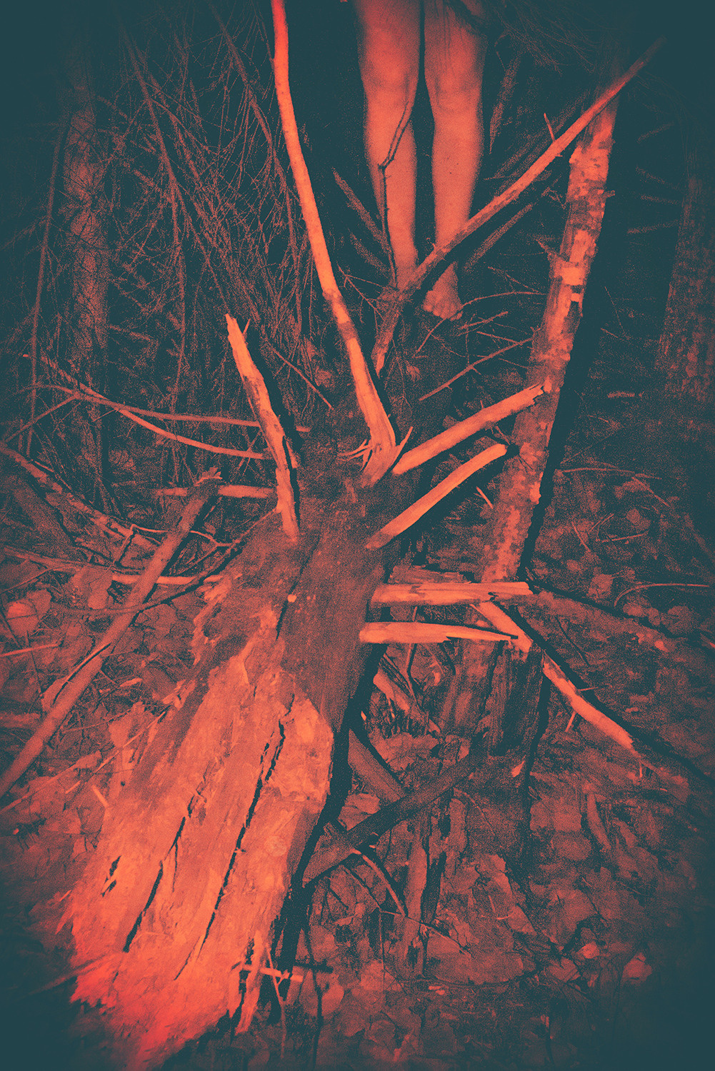 Between the Lives. Artist photographer Anna Biletska