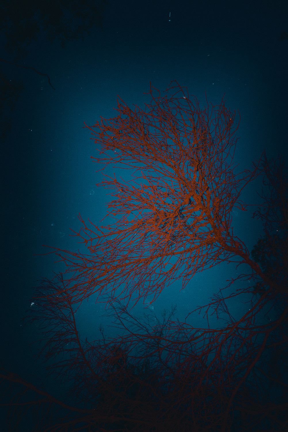 Between the Lives. Artist photographer Anna Biletska