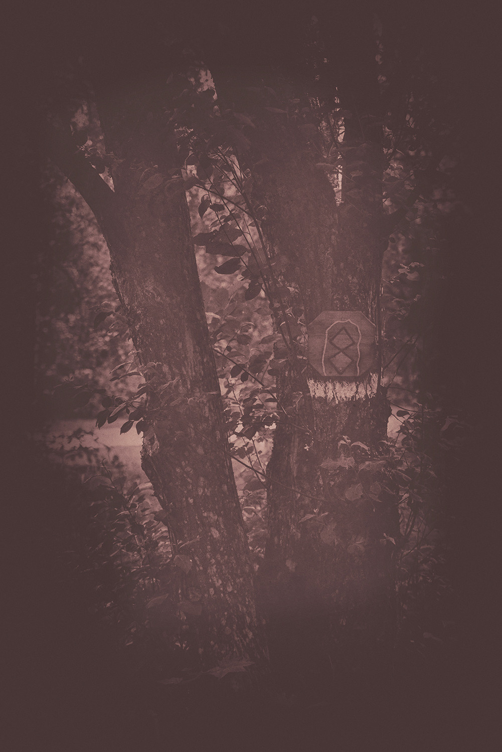 Between the Lives. Artist photographer Anna Biletska