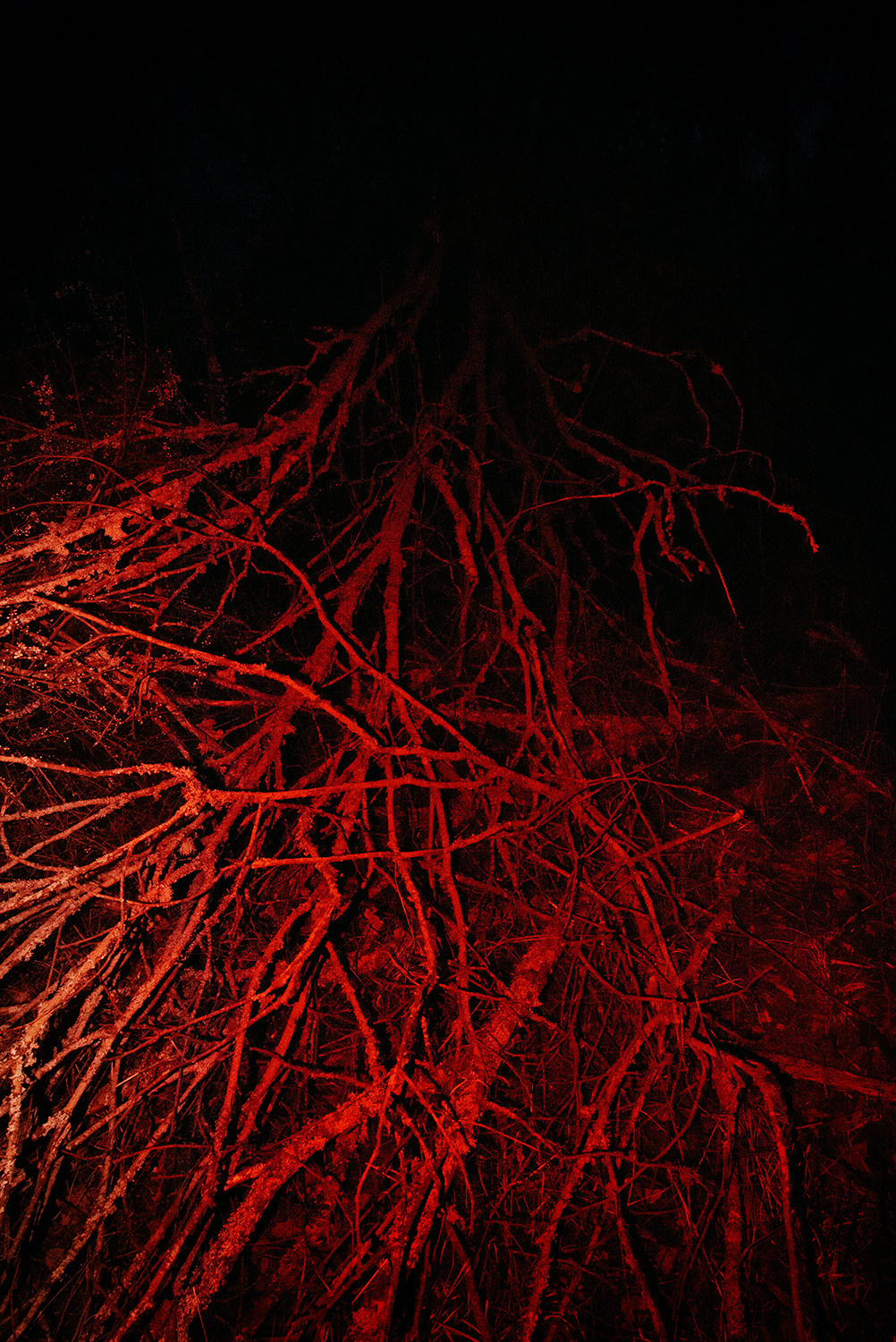 Between the Lives. Artist photographer Anna Biletska