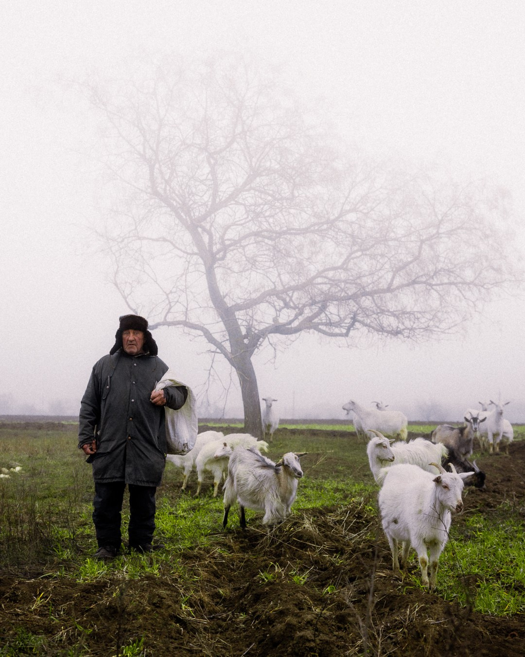 Film Grain Co. Volume 1