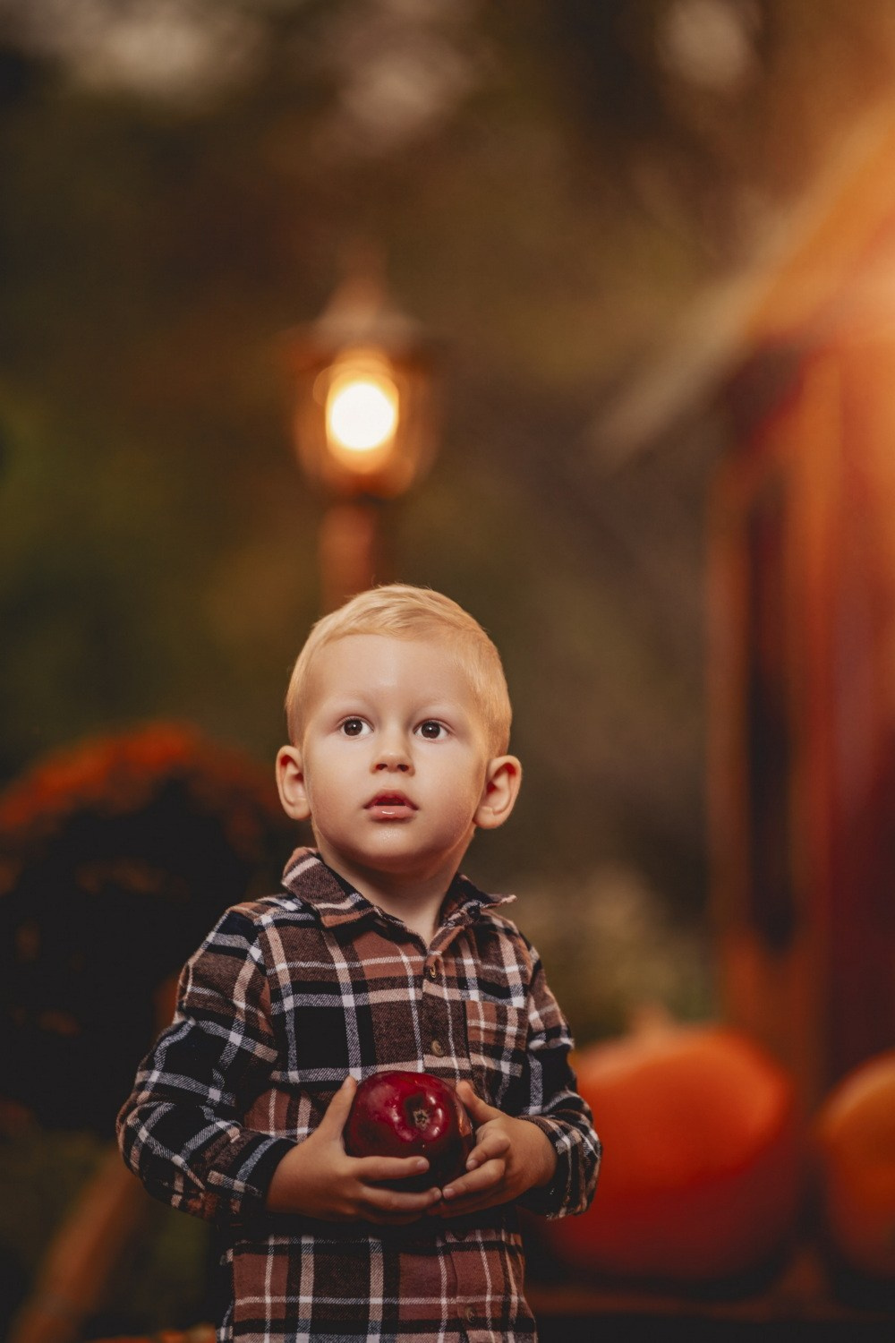 JESENJE FOTOGRAFISANJE. Fotografi iz Backog Petrovca David i Andrea Stojanovic