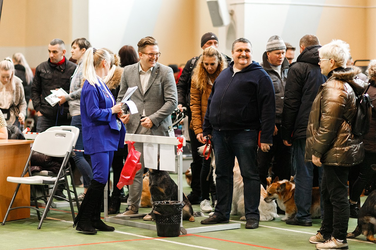 Grodno dog show. Kaja | fotograf we Wrocławiu | ludzie i psy