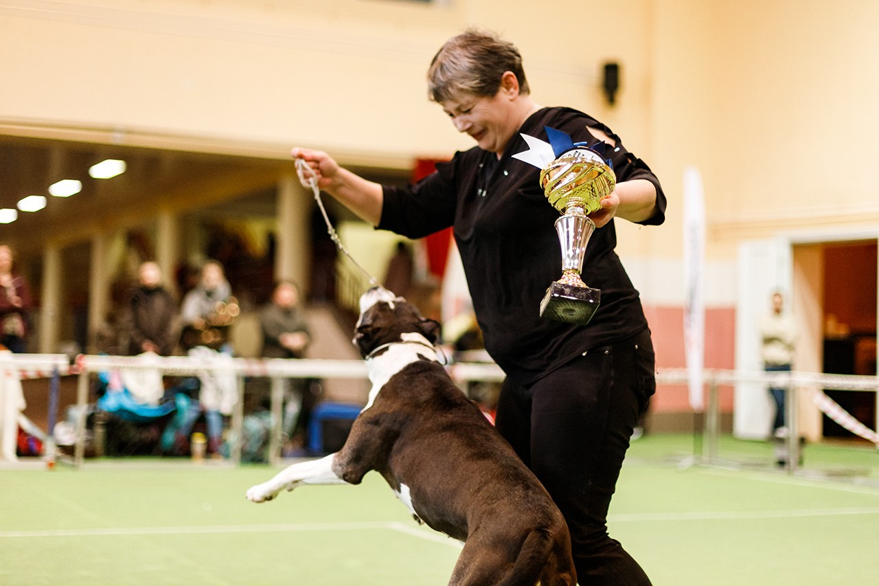 Grodno dog show. Kaja | fotograf we Wrocławiu | ludzie i psy