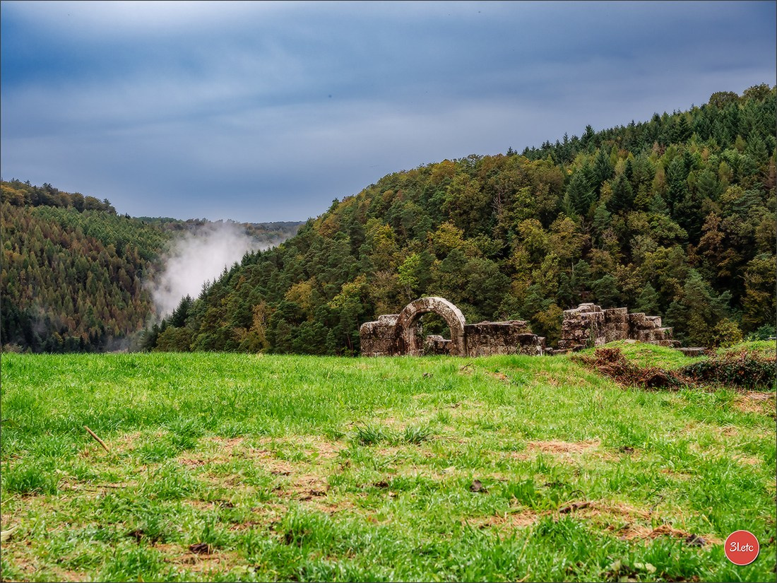 Ретрит в Эльзасе с Марией Ланг. Photographe à Strasbourg | Portraits, Studio, Enfants, Événements