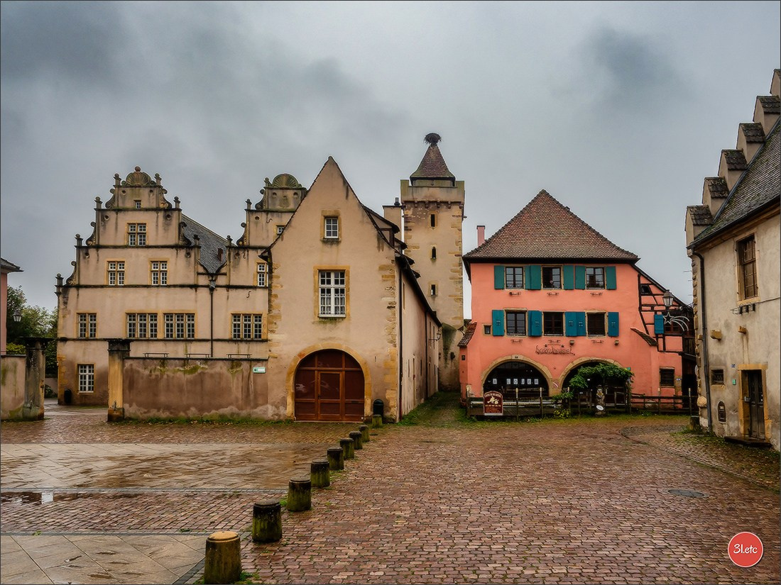 Ретрит в Эльзасе с Марией Ланг. Photographe à Strasbourg | Portraits, Studio, Enfants, Événements